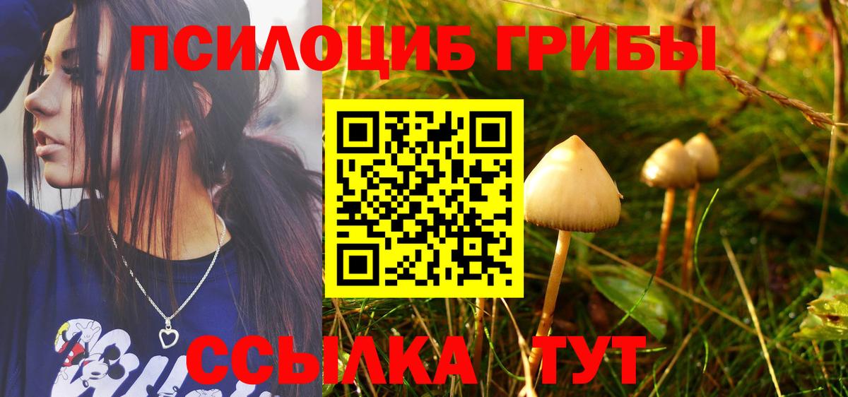 Галлюциногенные грибы ЛСД Балахна